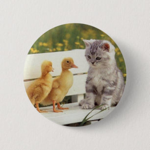Chapa Redonda De 5 Cm ¿Usted no parece un gatito? ¿Cuáles son usted?