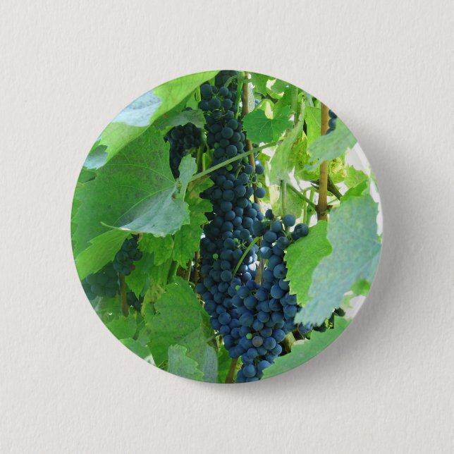 Chapa Redonda De 5 Cm Uvas (Anverso)