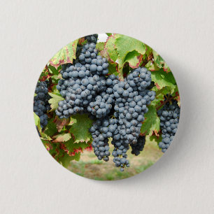 Chapa Redonda De 5 Cm Uvas de vino de Francia