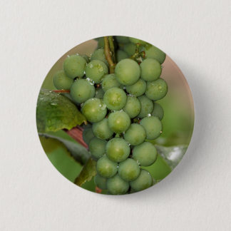 Chapa Redonda De 5 Cm Uvas del Seneca