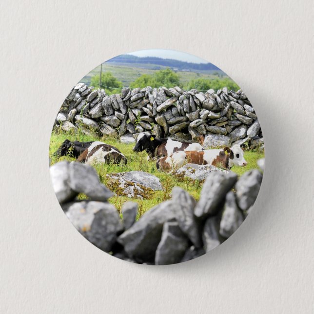 Chapa Redonda De 5 Cm Vacas Mugiendo (Anverso)