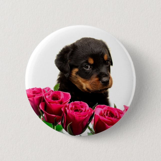 Chapa Redonda De 5 Cm Valentine Rosa Rottweiler Puppy (Anverso)