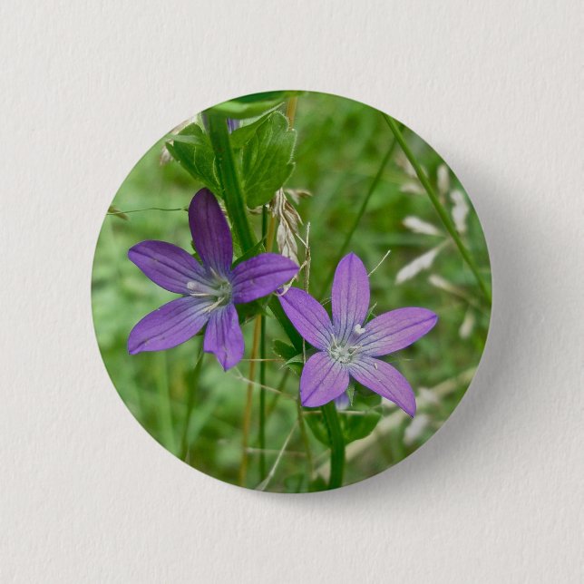Chapa Redonda De 5 Cm Venus Looking Glass Wildflower (Anverso)