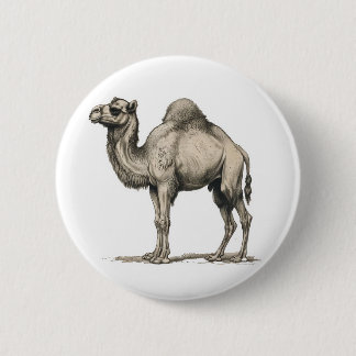 Chapa Redonda De 5 Cm Vintage Realistic Camel Illustration-Desert Camel