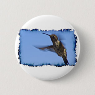 Chapa Redonda De 5 Cm Vuelo del colibrí