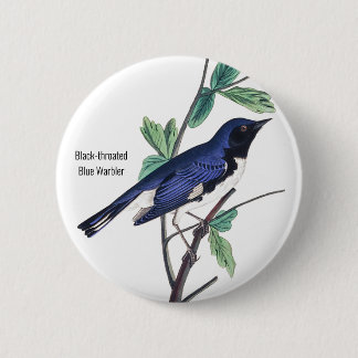 Chapa Redonda De 5 Cm Warbler azul de garganta negra, audubón, alfiler d