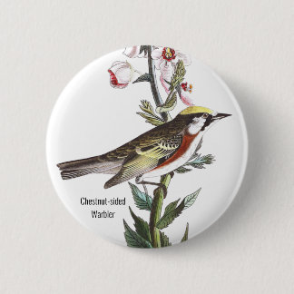 Chapa Redonda De 5 Cm Warbler de castaño, Audubon, accesorio de pájaro,