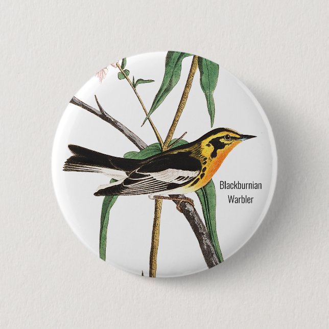 Chapa Redonda De 5 Cm Warbler negro, Audubon, Aves silvestres, (Anverso)