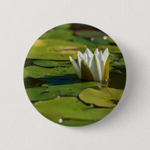 Chapa Redonda De 5 Cm Water Lily Blossom