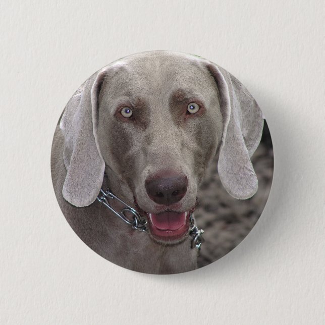 Chapa Redonda De 5 Cm Weimaraner (Anverso)
