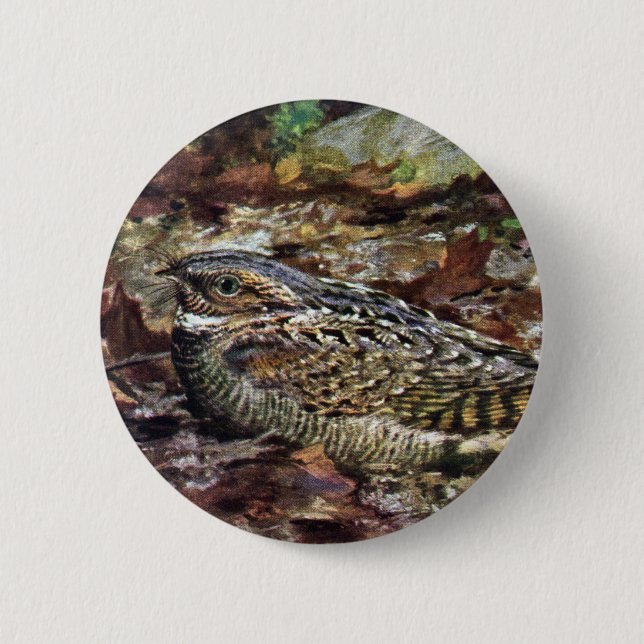 Chapa Redonda De 5 Cm Whippoorwill ocultado (Anverso)