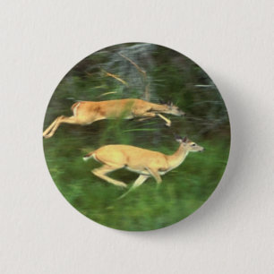 Chapa Redonda De 5 Cm white tail deer