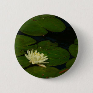 Chapa Redonda De 5 Cm White Waterlily I Fotografía Floral Pacífica