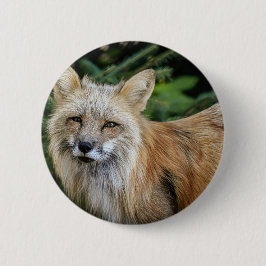 Chapa Redonda De 5 Cm Wild Fox