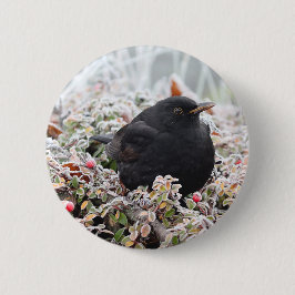 Chapa Redonda De 5 Cm Winter Blackbird