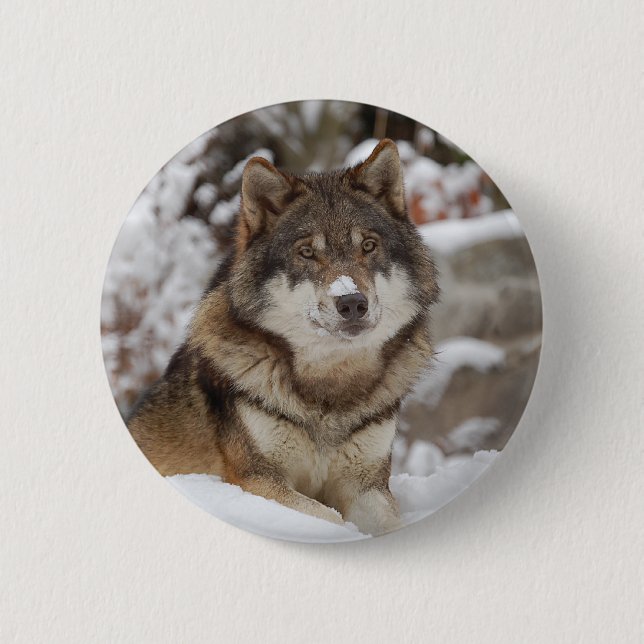Chapa Redonda De 5 Cm Winter Wolf (Anverso)