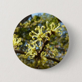 Chapa Redonda De 5 Cm Witch Hazel Flowers