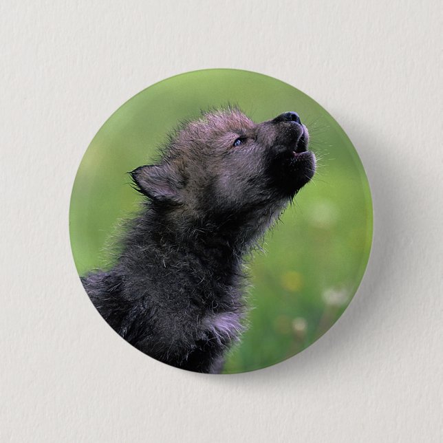 Chapa Redonda De 5 Cm Wolf Cub Howling (Anverso)