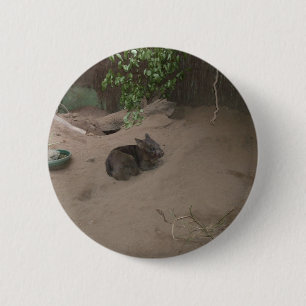 Chapa Redonda De 5 Cm Wombat