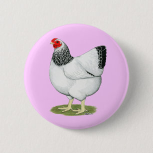 Chapa Redonda De 5 Cm Wyandotte: Columbian Hen