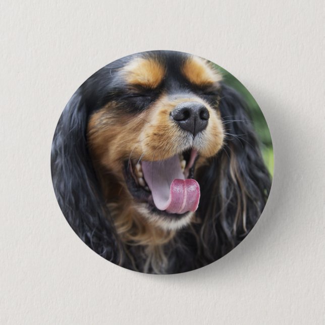 Chapa Redonda De 5 Cm Yawning Cavalier King Charles Spaniel (Anverso)