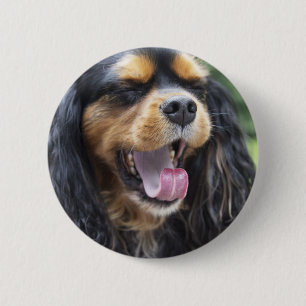 Chapa Redonda De 5 Cm Yawning Cavalier King Charles Spaniel
