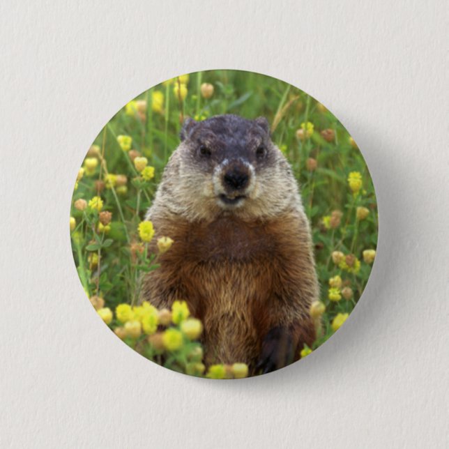 Chapa Redonda De 5 Cm Yo soy Groundhog Button (Anverso)