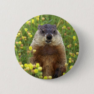 Chapa Redonda De 5 Cm Yo soy Groundhog Button