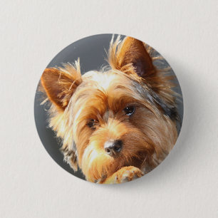 Chapa Redonda De 5 Cm yorkie