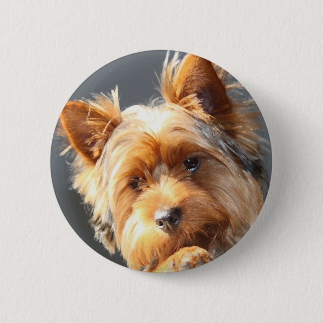 Chapa Redonda De 5 Cm yorkie (Anverso)