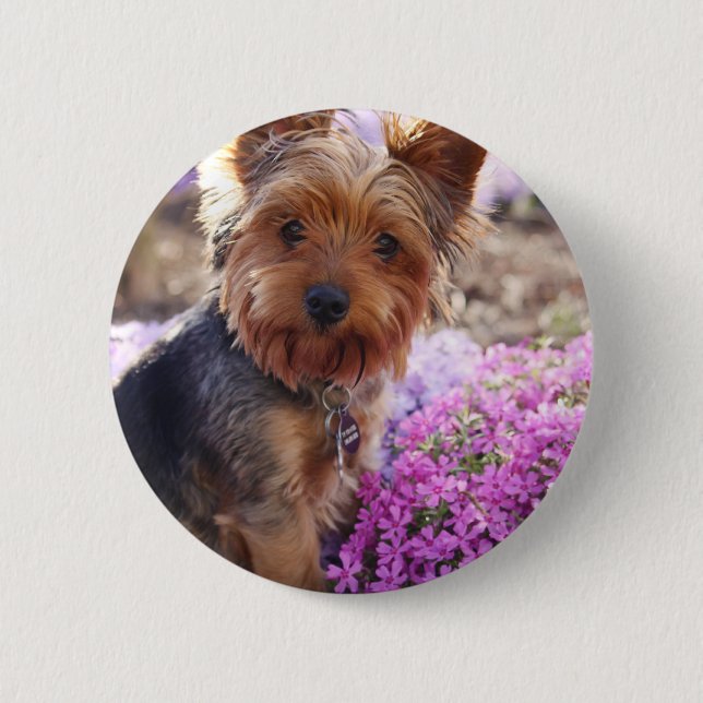 Chapa Redonda De 5 Cm Yorkshire Terrier (Anverso)