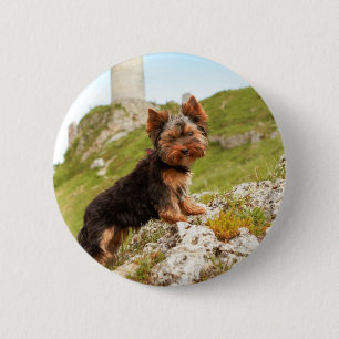 Chapa Redonda De 5 Cm Yorkshire Terrier