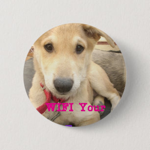 Chapa Redonda De 5 Cm You Should WIFI Your Love Everyday