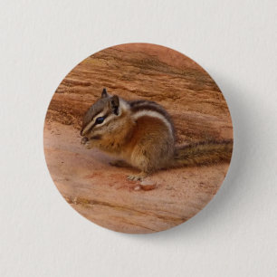Chapa Redonda De 5 Cm Zion Chipmunk sobre las rocas rojas