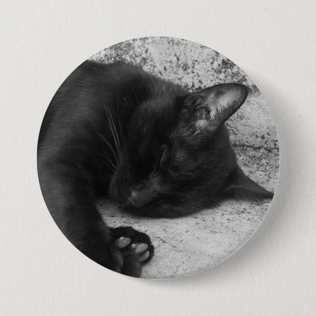 Chapa Redonda De 7 Cm B&W - Gato Durmiendo (Anverso)