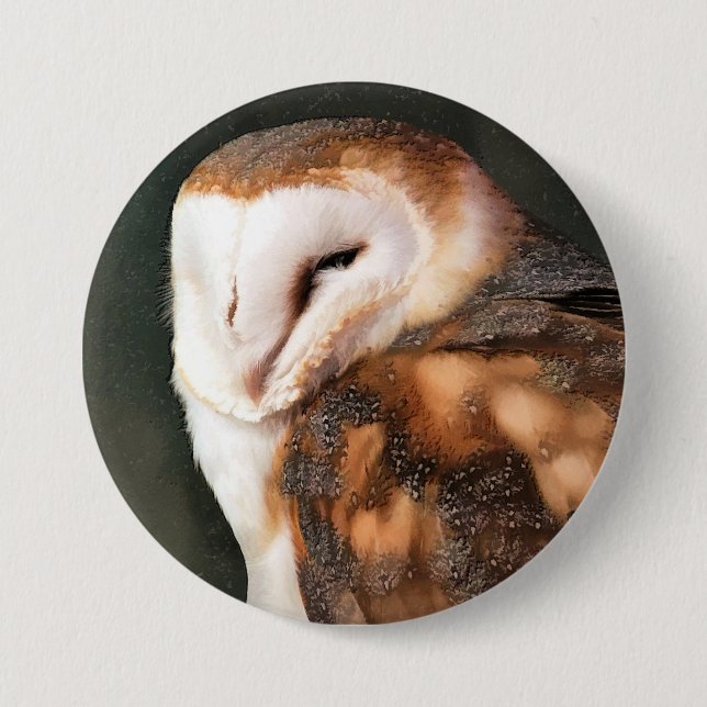 CHAPA REDONDA DE 7 CM BARN OWL (Anverso)