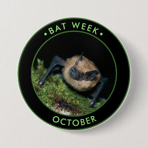 Chapa Redonda De 7 Cm Bat Week, lindo murciélago marrón