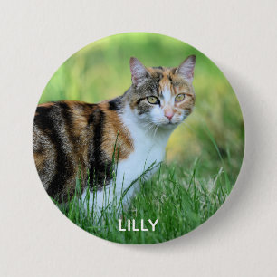 Chapa Redonda De 7 Cm Brown and white cat