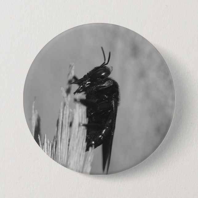 Chapa Redonda De 7 Cm Bumblebee (Anverso)