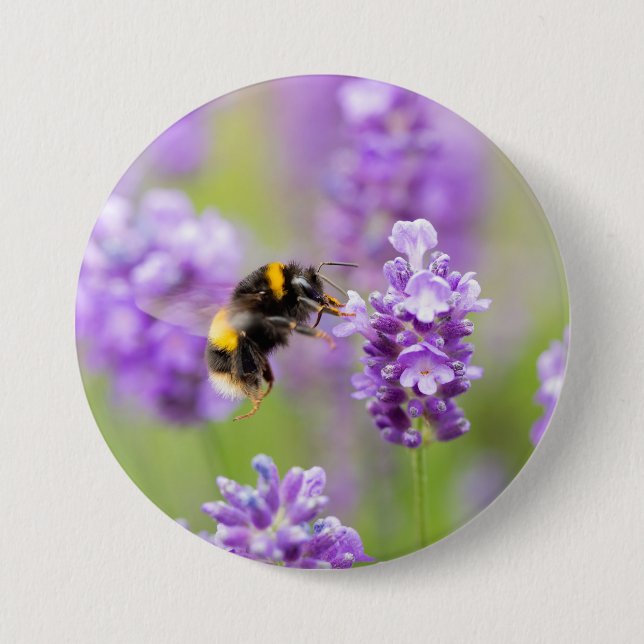 Chapa Redonda De 7 Cm Bumblebee en Lavender (Anverso)