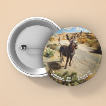 Burro sonriente, Oatman Arizona, Ruta 66