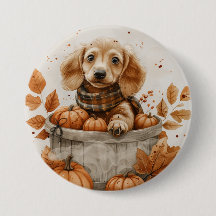Calabaza de perros Dachshund en otoño