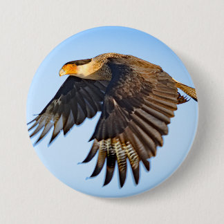 Chapa Redonda De 7 Cm "Caracara Flight" Button