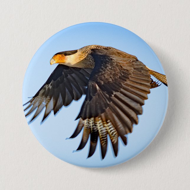 Chapa Redonda De 7 Cm "Caracara Flight" Button (Anverso)