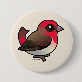 Chapa Redonda De 7 Cm Cute Common Rosefinch