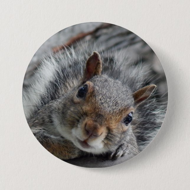 Chapa Redonda De 7 Cm Cute Squirrel (Anverso)
