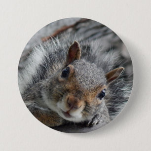 Chapa Redonda De 7 Cm Cute Squirrel