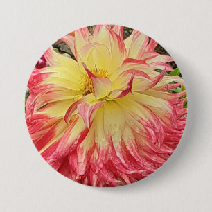 Chapa Redonda De 7 Cm Dahlia rosa y amarilla
