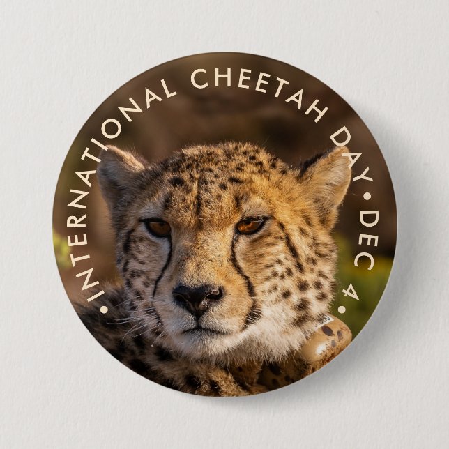 Chapa Redonda De 7 Cm Día Internacional del Cheetah (Anverso)