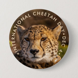 Chapa Redonda De 7 Cm Día Internacional del Cheetah